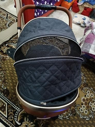 Детский мир: Классическая прогулочная коляска, Возраст: 6-12 месяцев — 6