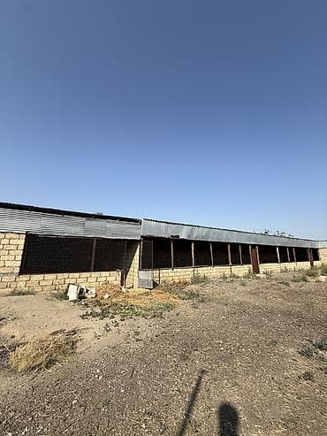 suraxanıda torpaq satılır: Kənd təsərrüfatı — 3