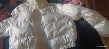 4xl nece razmerdi: M — 1