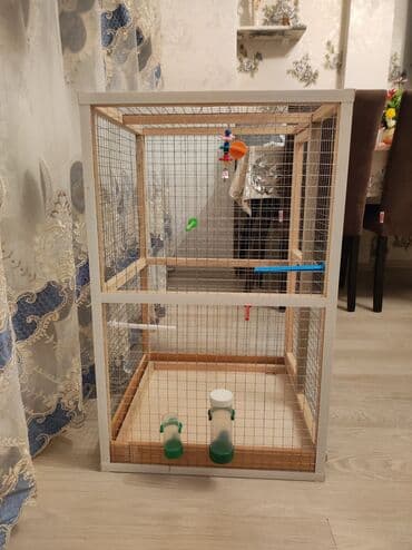 ag dovsan: Papuqay,dovşan,hamster,şinşila,bildirçin,cücə,xamyak,pişik,quş,tısbağa — 4