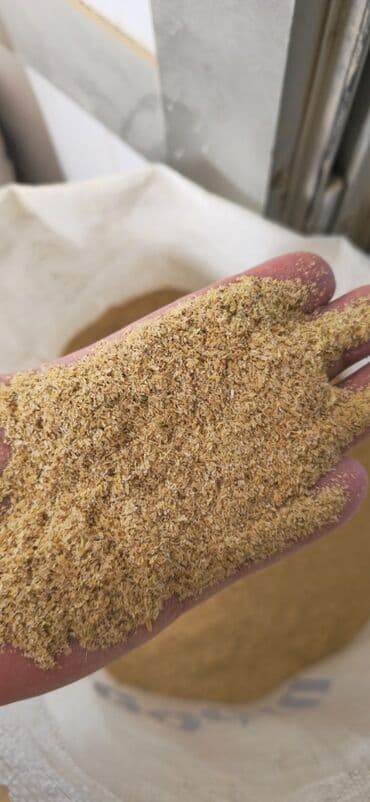 студенттер учун жумуш: Təmiz və keyfiyyətli narin kəpək ən münasib qiymətə! Minimum sifarişlə — 3