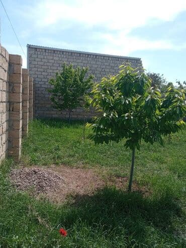 sumqayitda evlerin qiymeti: 3 комнаты, 100 м², Средний ремонт — 12