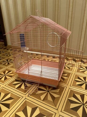 xarı bülbül döş nişanı: Bülbüllər — 1