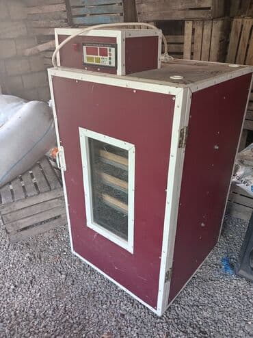 xaski itleri qiymeti: Az işlənib. Xeyirli inkubatordu — 2