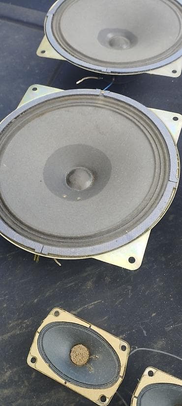 mikrofon kalonka: Maqnit dinamikləri dəsti - Komplekt: 4 ədəd oval orta/aşağı tezlikli — 2