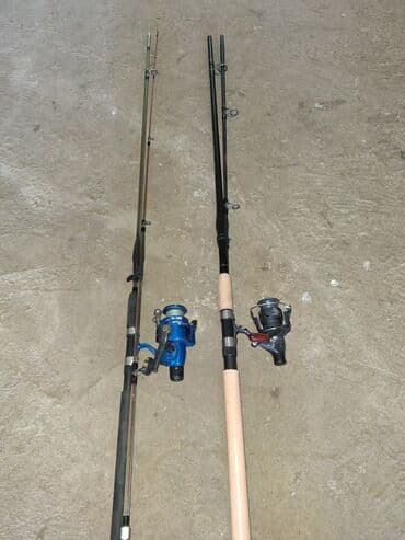 математика 2 класс азербайджан 1 часть: Biri trosludur.O biridə delfin firmasınındı təmiz karbondu qəşəy — 2