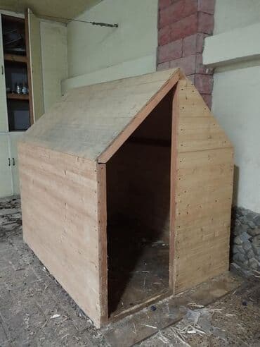 pit bull: Питбуль, 1 год, Самка, С прививками, Самовывоз — 6