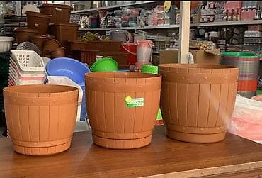 ev gulleri ve adları: Fərqli dizayn fərqli qiymət gül qabları — 9