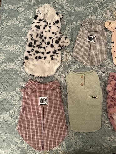 it ucun paltarlar: 5 aznden baslayan it pisik geyimleri yenidir magaza baglanib deye ucuz — 3