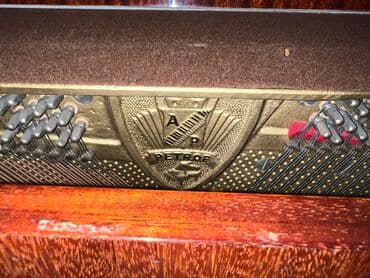 Fleytalar: Piano, Petrof, Akustik — 5