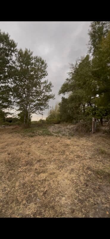 fatmayı torpaq: 10 sot, Kupça (Çıxarış) — 9