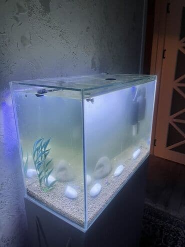 Грызуны: Прямоугольный аквариум, Пустой, 90 л, Платная доставка — 4