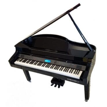 piano dersleri baki: Medeli elektro Royallar.10% endirim bashladi. Akustik pianonun — 1