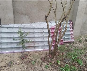 demir zabor: Məhsul: Dalğalı sinklənmiş dəmir təbəqələr (profilli saç) Təsvir: - — 2