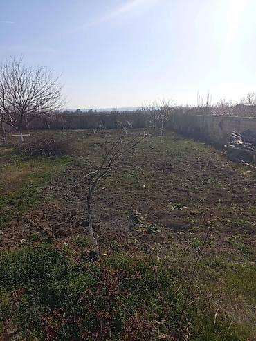 xocasen kiraye evler: Mingəçevir, 1000 kv. m, 1 otaqlı, Hovuzsuz, Su — 2