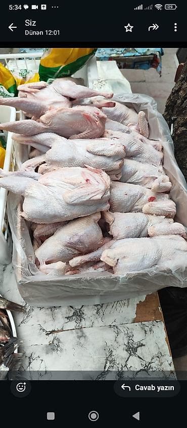 resm cekmek ucun sekiller: Kənd toyuğu Chicken Bütöv — 1