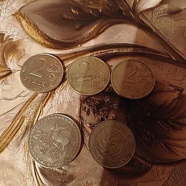 Sikkələr: 2007 il — 1