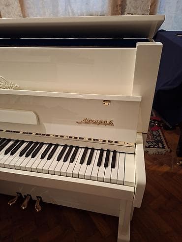dinamik dayağı: Piano, Akustik, Yeni, Pulsuz çatdırılma — 3