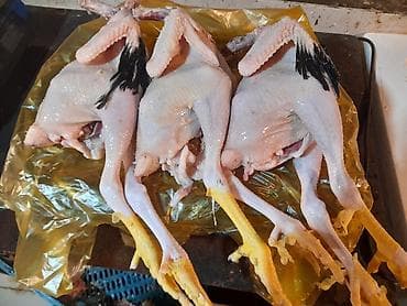 Ət məhsulları: Kənd toyuğu Toyuq Bütöv — 3