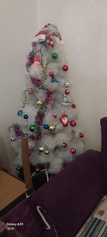 Ağ yolka böyük boydu satram 30 azn lalafo.az -da Ağ yolka böyük boydu satram 30 azn