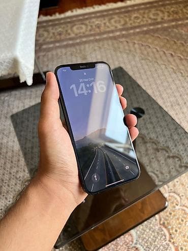 IPhone 12 Pro Max