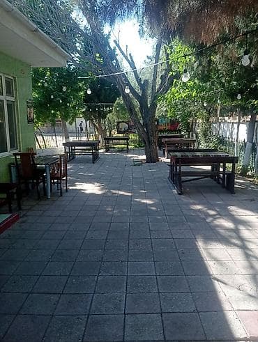 yol tikintisi: Ofisiant tələb olunur, Kafe, Gündəlik ödəniş, 18-29 yaş, 3-5 illik təcrübə — 2