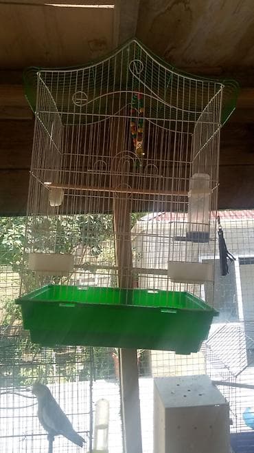 Quşlar üçün nəzərdə tutulmuş, ağ rəngli metal çubuqlardan hazırlanmış