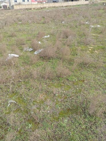 huseynbala eliyev kucesi: Tikinti — 5