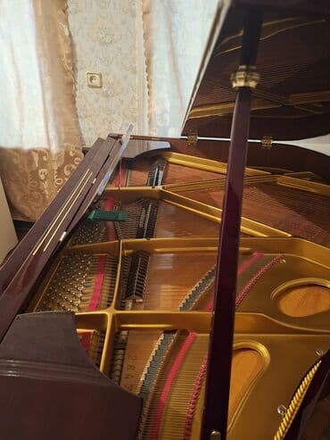 Musiqi alətləri: Royal, Akustik, Yeni, Pulsuz çatdırılma — 4