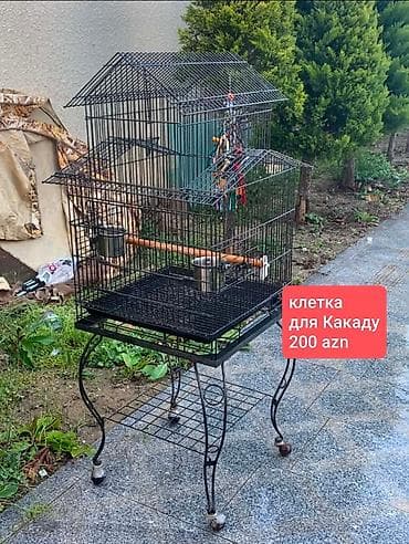 heyvan rezini: Kakadular üçün quş qəfəsi - Material: möhkəm metal konstruksiya, toz — 1