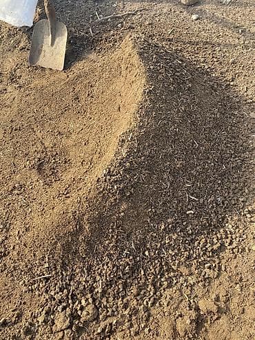 Ələnmiş quru peyn ünvan novxanı kəndi qimət 2. 5 dən