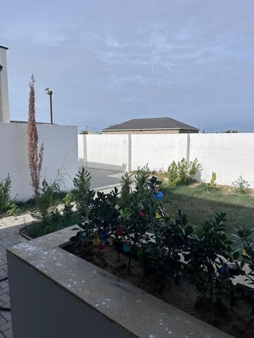 xacmazda dasinmaz əmlak: Bakı, Nardaran qəs., 120 kv. m, 4 otaqlı, Hovuzlu, Qaz, İşıq, Su — 3