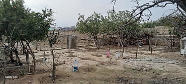 Torpaq sahəsi – həyət evi üçün yararlı - Daş hasarla tam əhatələnmiş — 1