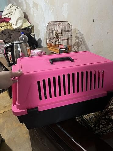 ev pisikleri: İşledilmeyib etiketi de üstündedir en böyük modeldir 60 alınıb 50 azn — 2