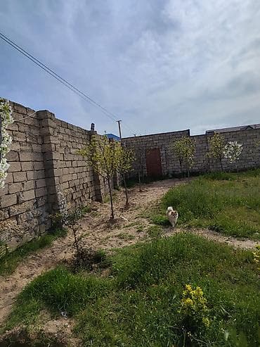 studio evler: 12 sot, Tikinti, Mülkiyyətçi, Kupça (Çıxarış) — 3