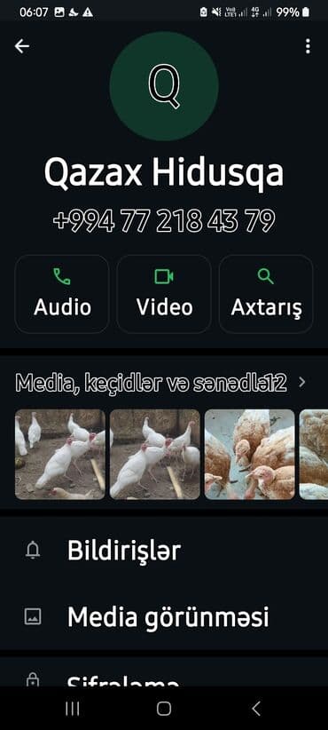 cins inekler azerbaycanda: Salam alekum bu hidusqa satandab 5 hidusqa zakaz etmisik pulu atmisiq — 14