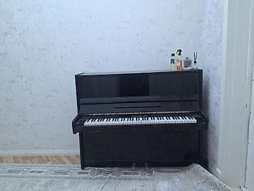 Piano, Rostov-Don, Akustik, İşlənmiş, Ünvandan götürmə