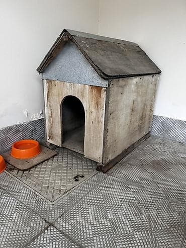 ucuz heyvanlar: Taxta it evi - Material: qalın taxta korpus, dam və ön hissədə — 1
