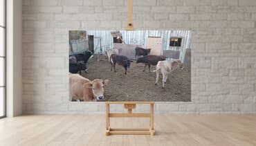 bmw 3 серия 324td at: 8 𝙗𝙖𝙨̧ 𝙙𝙞𝙨̧𝙞 𝙙𝙖𝙣𝙖𝙙𝙞 — 1