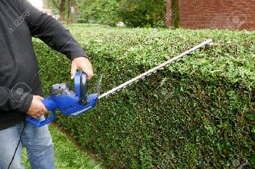 odun kesen mator: Rocye reht-800 ağacbudayan electric trimmer cihazı texniki — 1