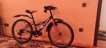 Uşaq arabaları: İki təkərli Uşaq velosipedi 24" — 1