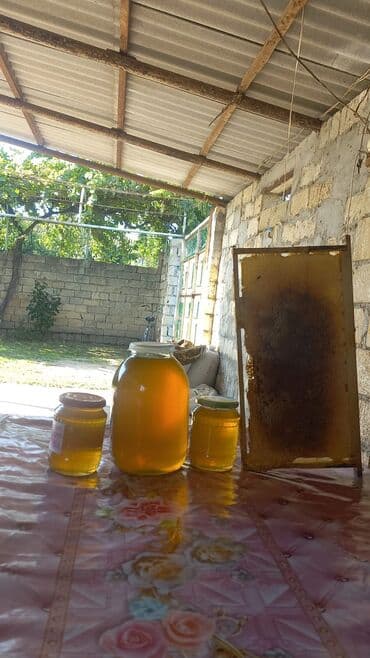 Təmiz kənd balı satılır. Keyfiyyətinə 100% zəmanət. Kiloqramı 30 AZN