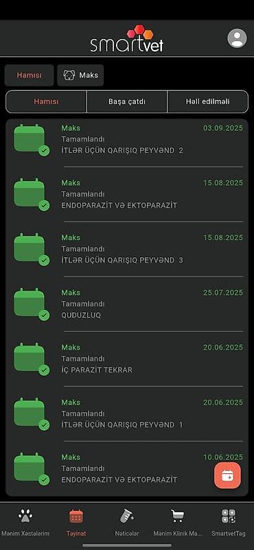 meydan itleri: Malta bolonka, 10 ay, Erkek, Cütləşmə üçün — 5