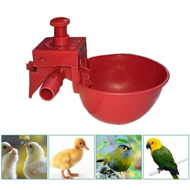 cuce yemleri: Su qabi toyuqlar üçün avtomatik su qabi yeni̇ 🐥🐔🦆🐧🐣🐤 toyuq, cüce — 1