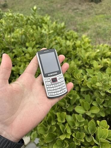 Samsung GT-S3310, rəng - Gümüşü, Düyməli