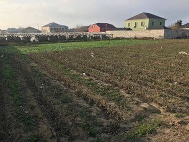 qutqaşınlı küçəsi: 15 sot — 3