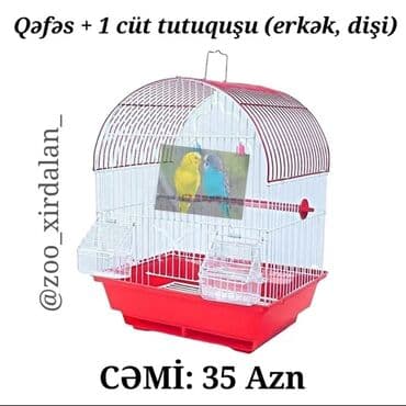 quş qefesleri: Yeni qəfəs + 1 cüt (erkək, dişi) — 1