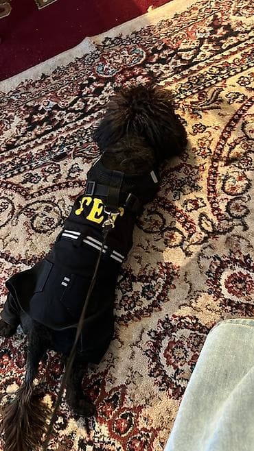 it davasi 2019: 1 il, Erkek, Ünvandan götürmə — 4