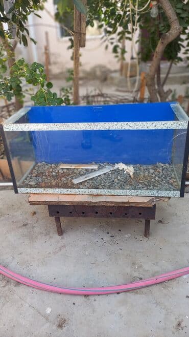 Akvariumlar: Dördbucaq akvarium, Boş, 90 l, Ünvandan götürmə