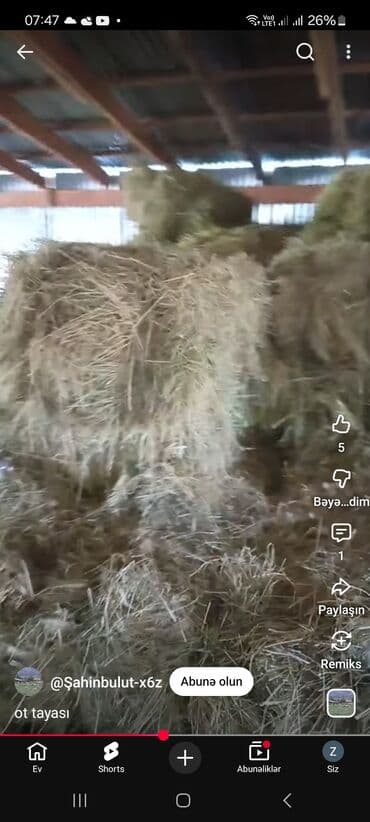 Гуси: Məhsul: Ot tayası (preslənmiş yem) Təsvir: - Qamış və müxtəlif çəmən — 1